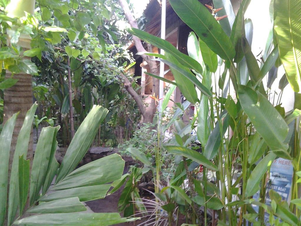 Solaluna Beach Homestay Amed Zewnętrze zdjęcie